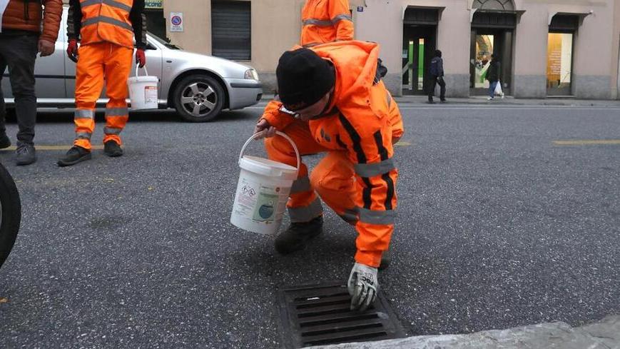 Capannori, due casi di Dengue sul territorio: al via la disinfestazione a tappeto<br>