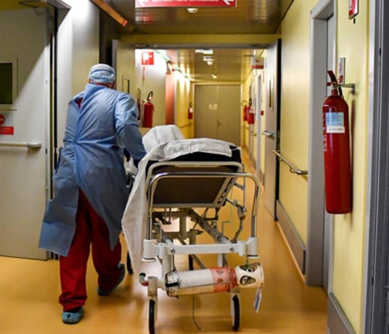 Virus West Nile, 24 casi da inizio anno a Modena: la metà negli ultimi giorni