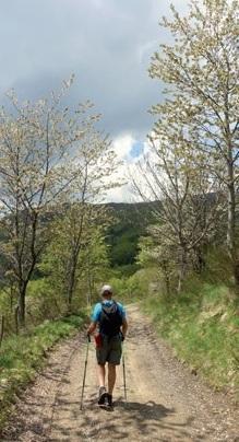 Escursioni green: come gestire i rifiuti di giornata in montagna