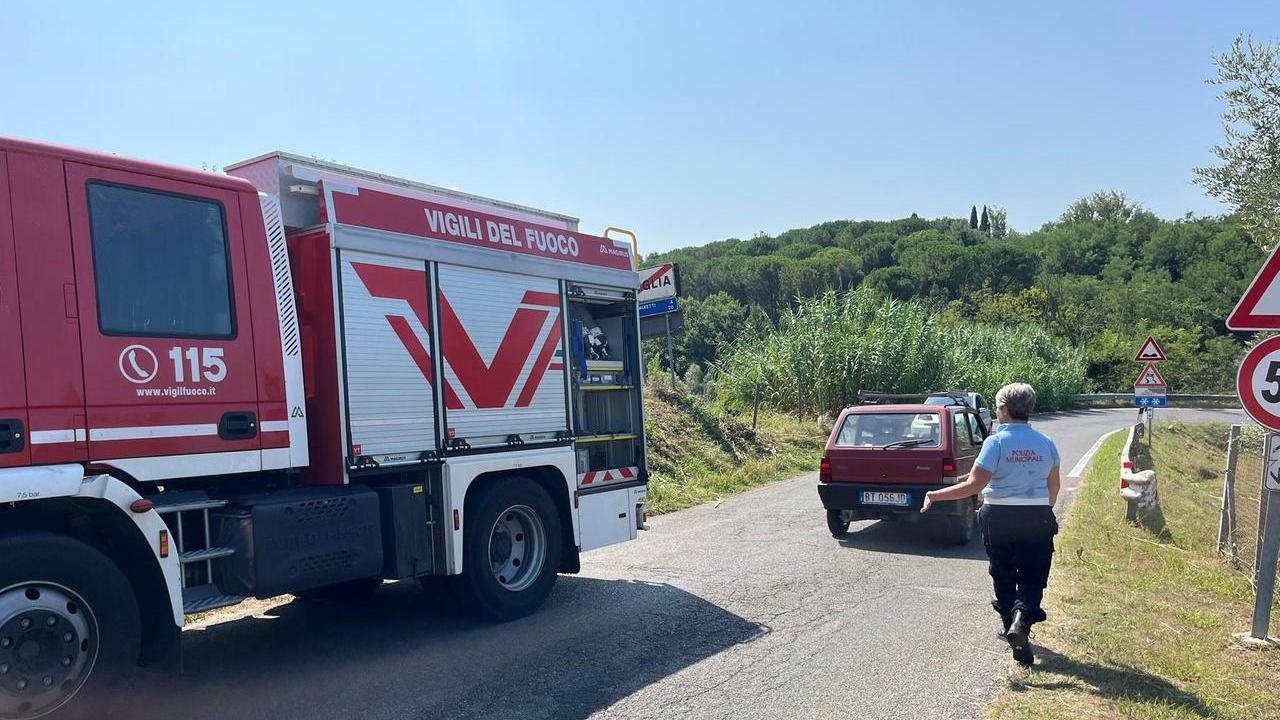 Fauglia, muore schiacciato dal trattore: chi è la vittima