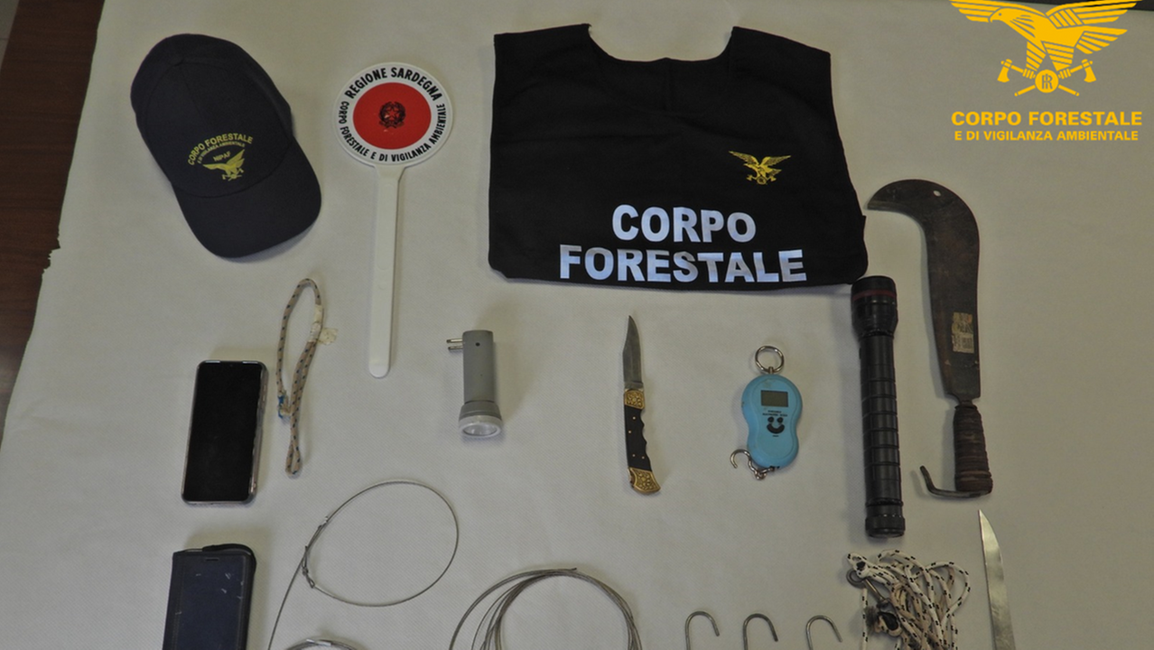 Cinghiale ucciso a colpi di roncola: due uomini denunciati a Torregrande