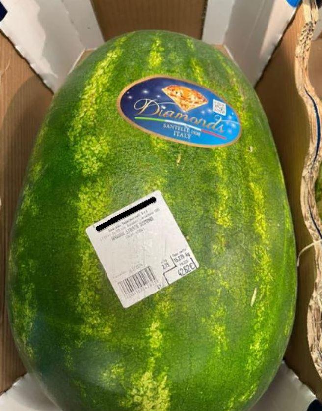 Cocomero di lusso a Porto Cervo: l’ironica “denuncia” dell’agente immobiliare di Ferrara