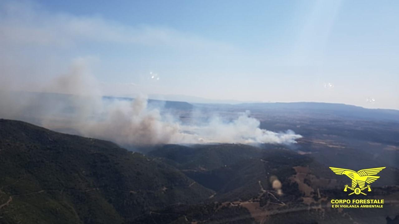 In Sardegna 10 incendi: in fumo ettari di bosco e macchia mediterranea