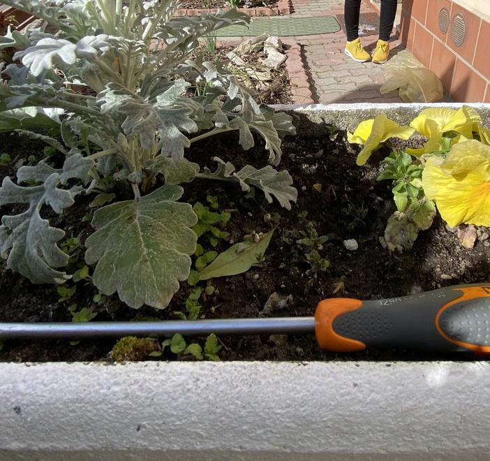 Ferrara, vanno in vacanza, gli svaligiano la casa