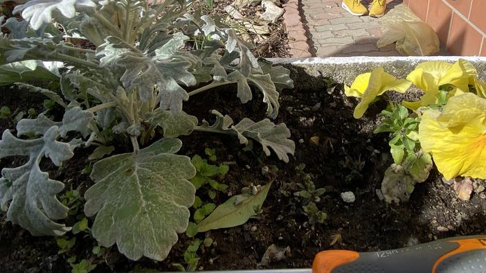 Ferrara, vanno in vacanza, gli svaligiano la casa