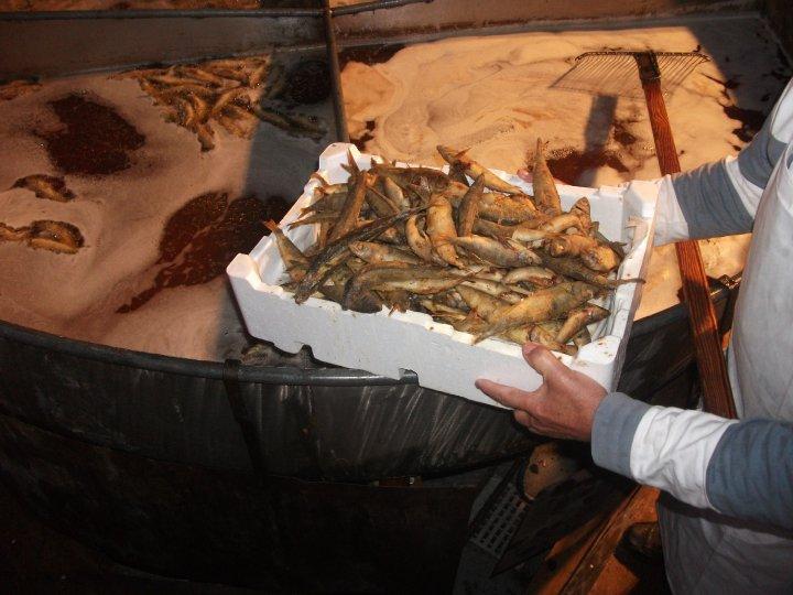
	Una sagra della paranza&nbsp;

