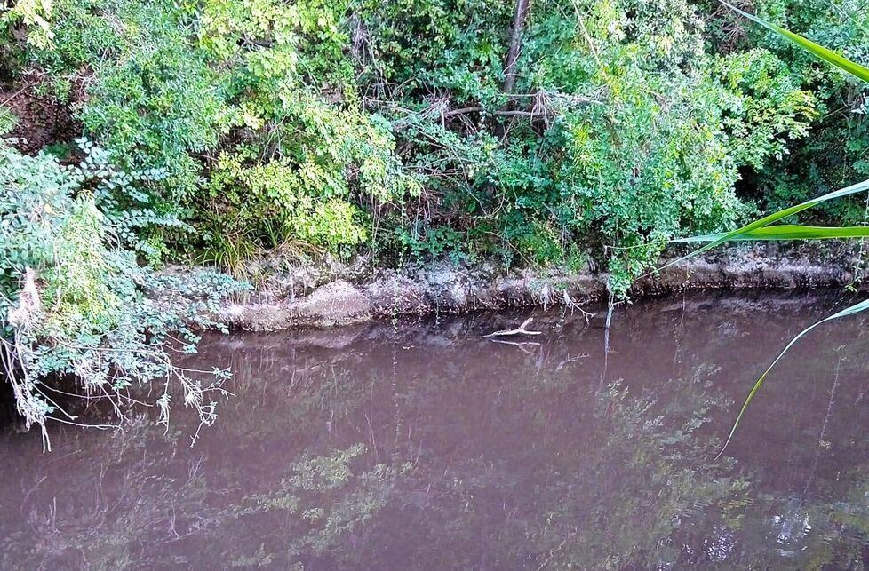 
	Qui sopra un tratto del fiume immortalato da un cittadino (Foto da Facebook)


