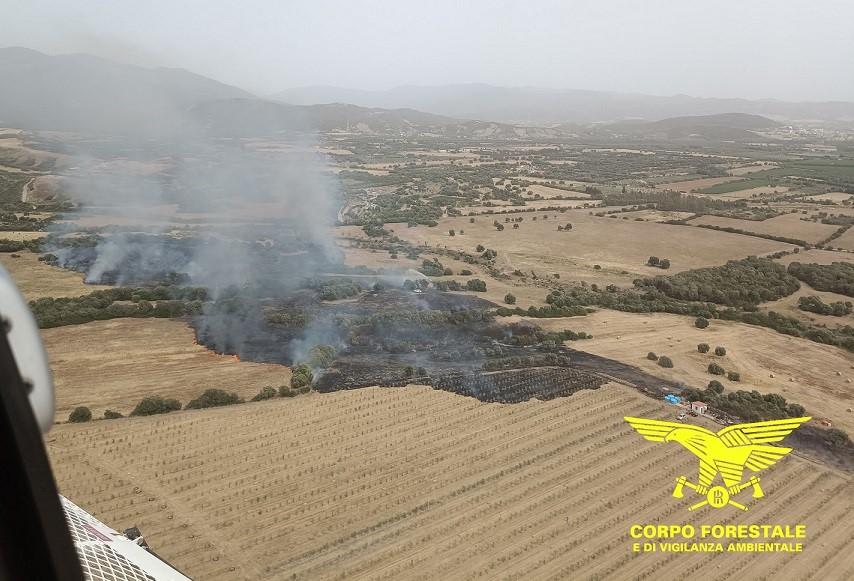 Giornata con 14 incendi: il più grave a Villaperuccio