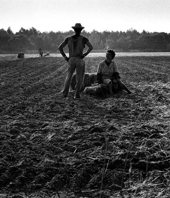 La Scuola di Paesaggio “Emilio Sereni” sotto il segno delle migrazioni