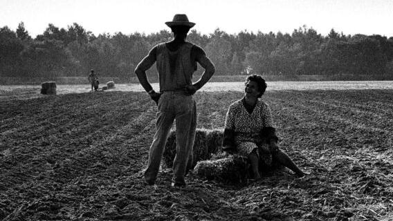 La Scuola di Paesaggio “Emilio Sereni” sotto il segno delle migrazioni
