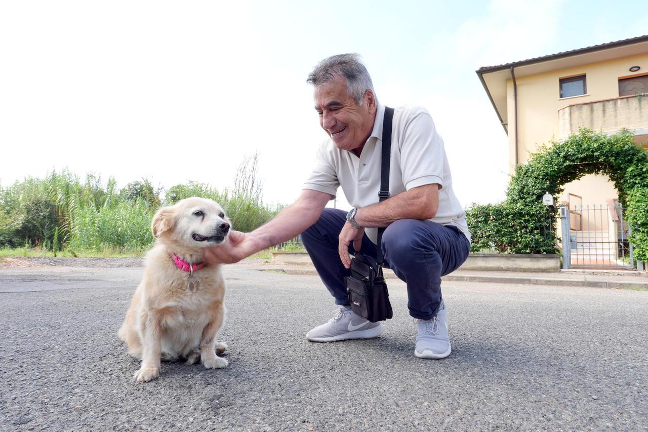 Il padrone sta male e va in ospedale, Sissi insegue l’ambulanza per 15 chilometri