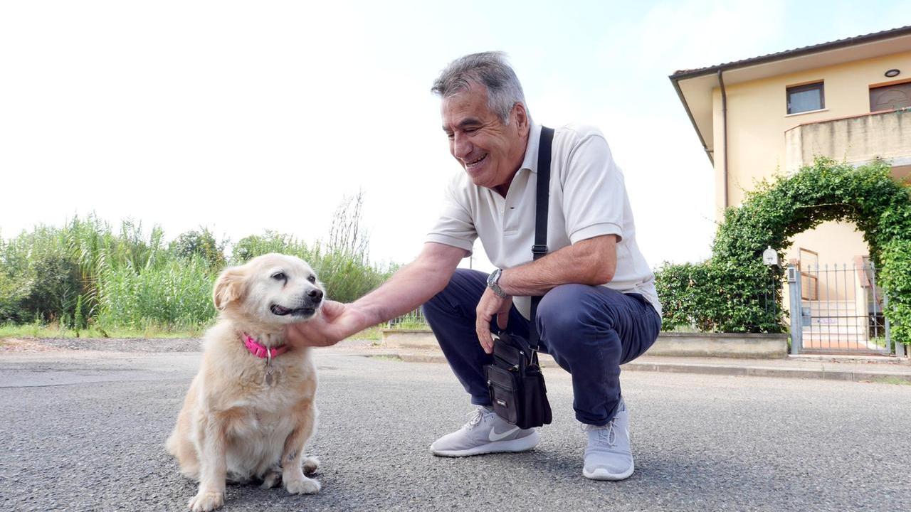 Il padrone sta male e va in ospedale, Sissi insegue l’ambulanza per 15 chilometri