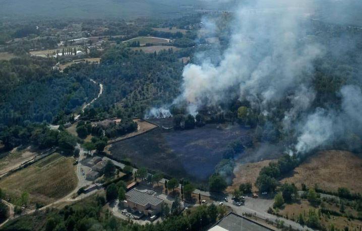 
	Le fiamme nell'area boschiva

