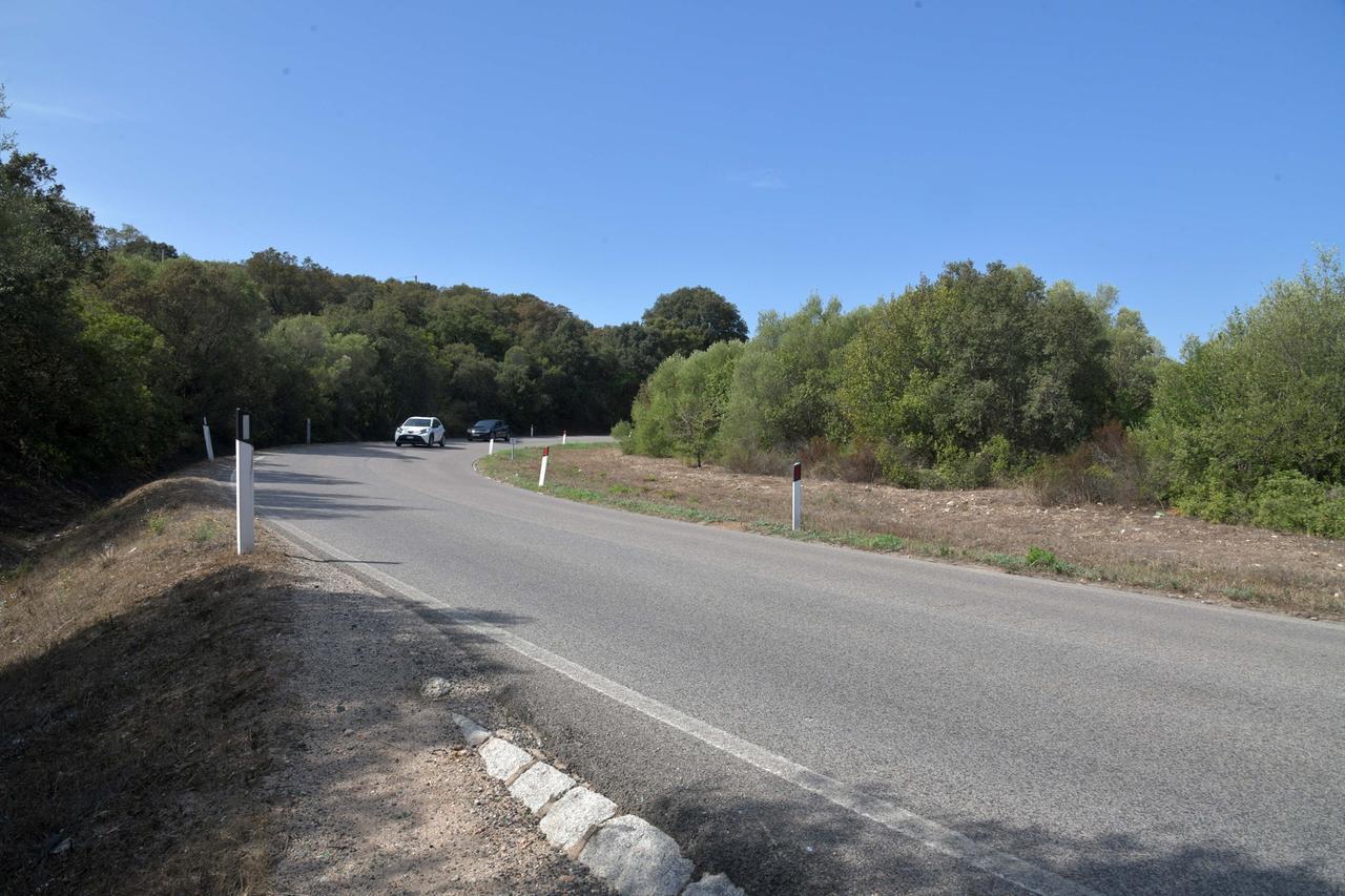 
	Il tratto della Ss127 in localit&agrave; Lu Naracu (foto di Vanna Sanna)

