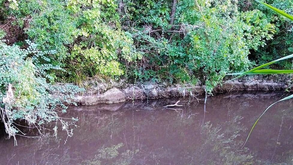 Un tratto del fiume immortalato da un cittadino 