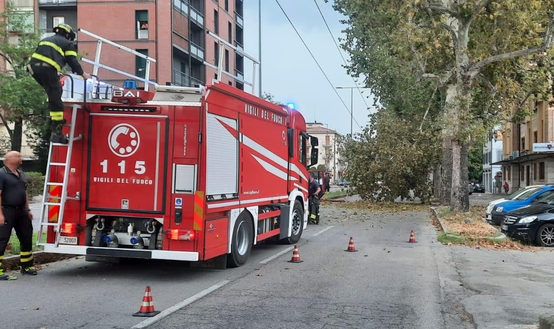 Maltempo a Modena, il vento fortissimo abbatte un albero in via Giardini