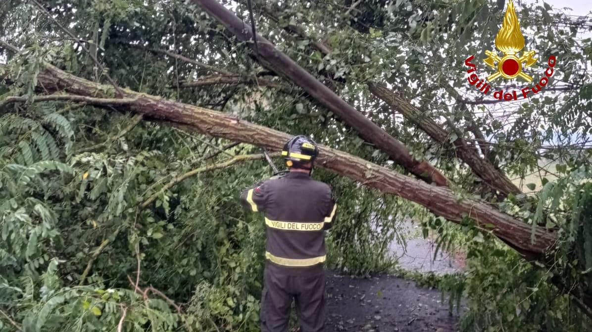 Pisa, decine di interventi dei Vigili del fuoco per alberi e rami caduti