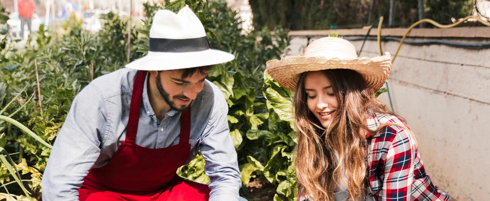 Livorno, ai giovani agricoltori 65mila euro a fondo perduto: «Ecco cosa dovete fare per averli»<br type="_moz" />
