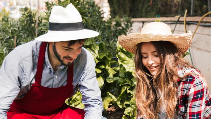 Livorno, ai giovani agricoltori 65mila euro a fondo perduto: «Ecco cosa dovete fare per averli»<br type="_moz" />