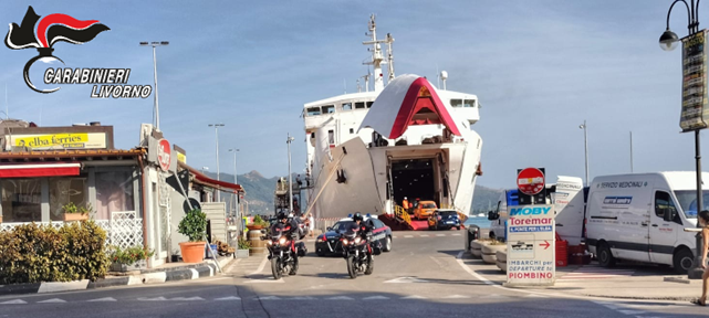 Cocaina all’Elba, maxi operazione con 19 indagati. La banda scoperta anche simulando l’abbattimento di un cinghiale