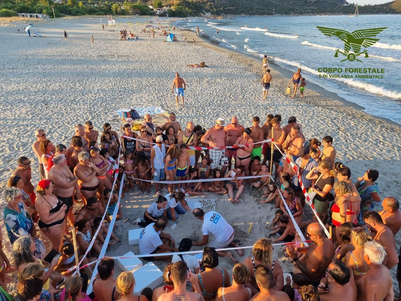 
	I bagnanti attorno all'area delimitata dove &egrave; stato scoperto il nido

