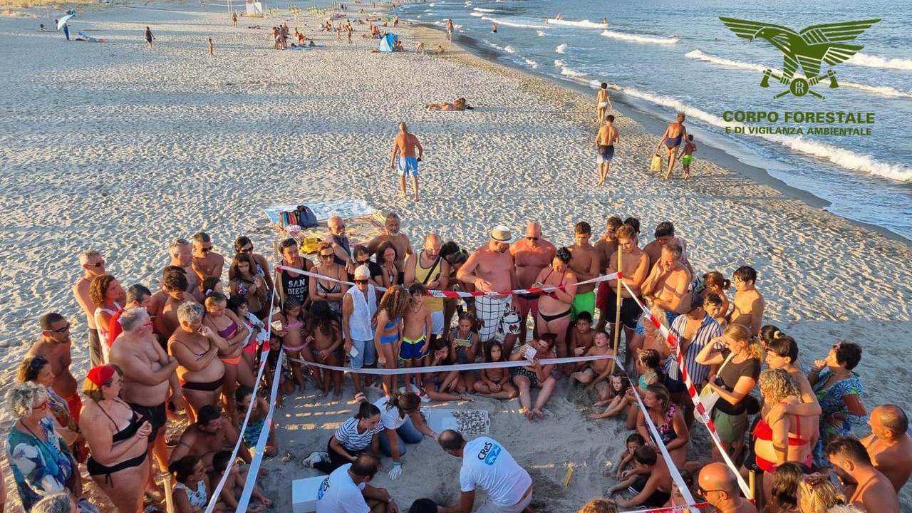 I bagnanti attorno all'area delimitata dove è stato scoperto il nido