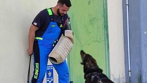 Copparo, donna morsa da un pastore tedesco: interviene l’Ausl