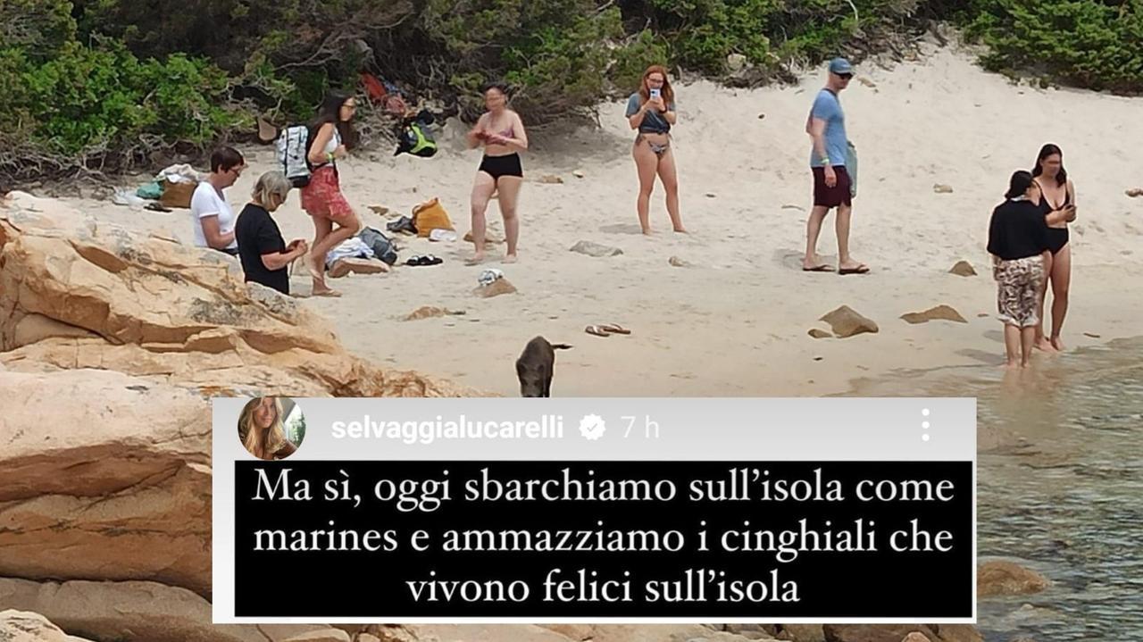 Selvaggia Lucarelli sull’abbattimento di cinghiali a Spargi: «Fanno come i marines, ma il problema è a monte»