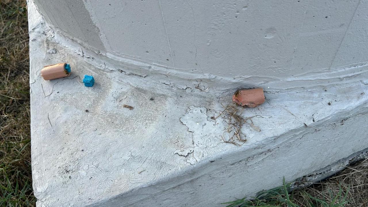 Reggio Emilia, trovati in via Premuda bocconi avvelenati e con spilli: «Massima attenzione per i vostri cani e i vostri gatti»