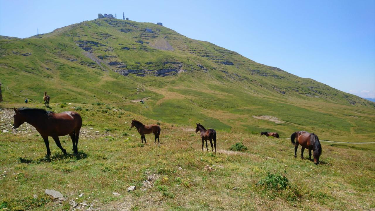 Emergenza clima, sul monte Cimone 8 gradi in più in un secolo