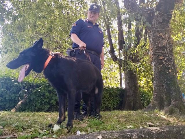 Reggio Emilia, il cane Freddy trova un’altra esca avvelenata in via Premuda