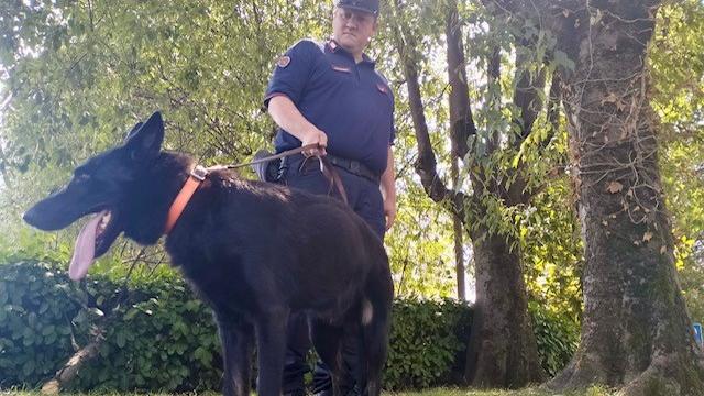 Reggio Emilia, il cane Freddy trova un’altra esca avvelenata in via Premuda