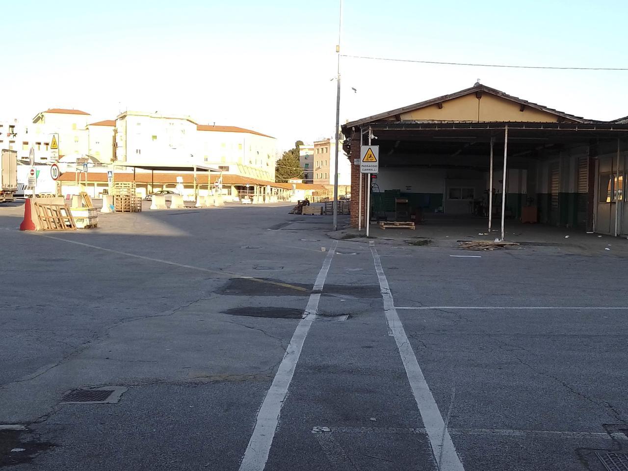 
	Il mercato ortofrutticolo (foto d'archivio)

