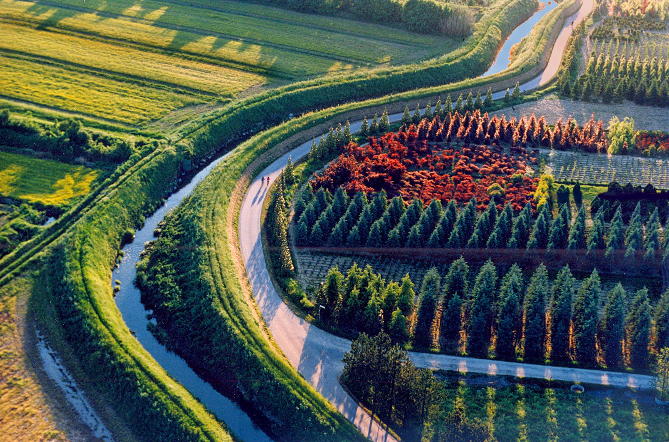 Un vivaio visto dall'alto