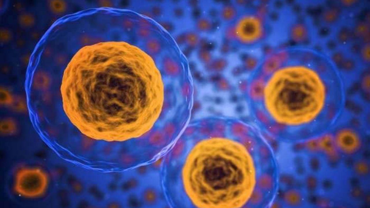 Diabete, al Meyer lo studio rivoluzionario: a chi è rivolto e come funziona