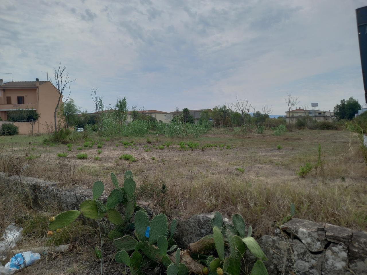 
	L'area di via Su Componidori con gli alberi ormai secchi

