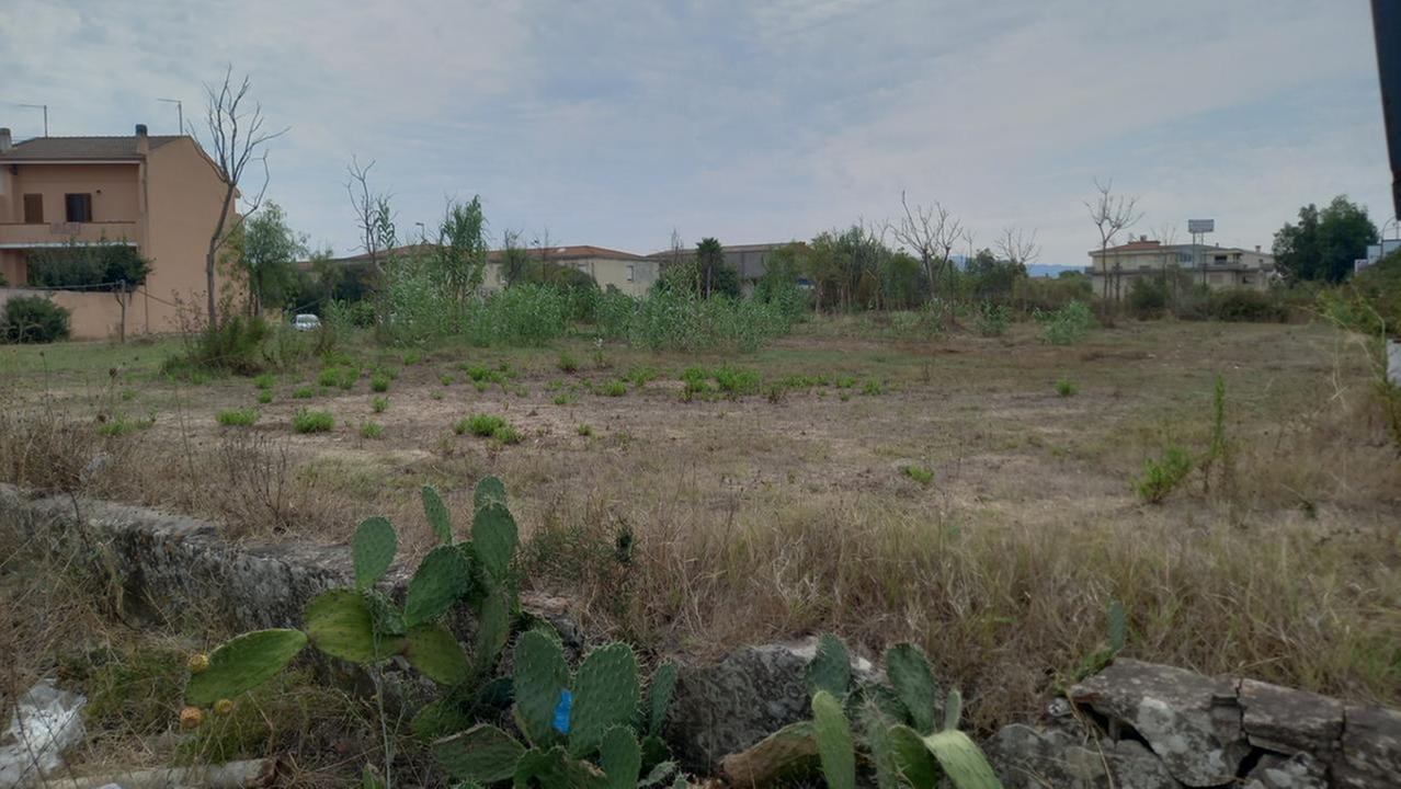 L'area di via Su Componidori con gli alberi ormai secchi