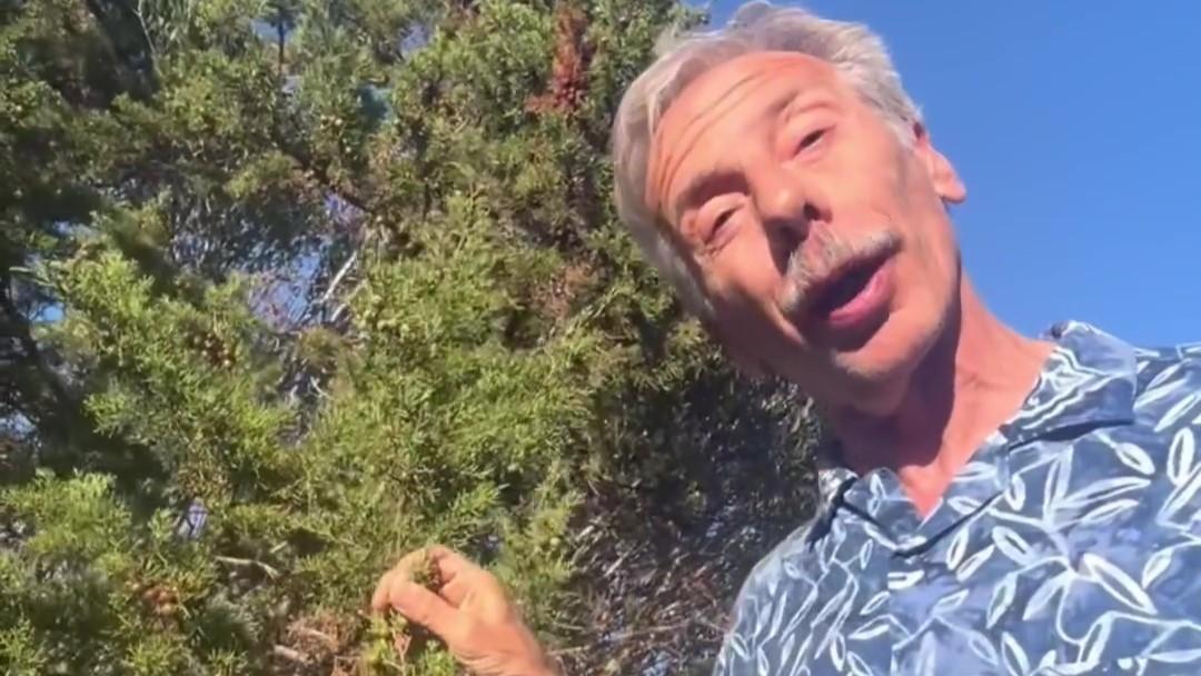 Ginepro, lentischio e mirto: a lezione di macchia mediterranea con Giovanni Storti