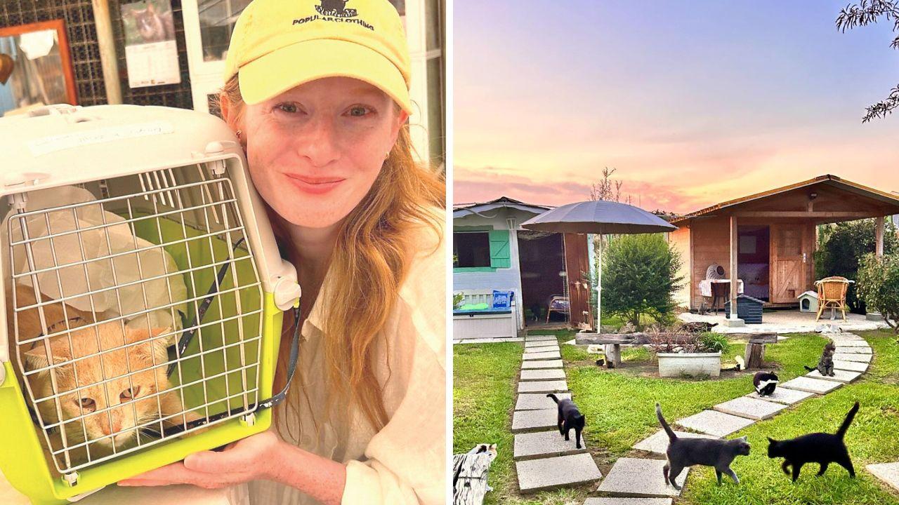 Kim insieme al micio salvato in Puglia e a destra Miciottoli