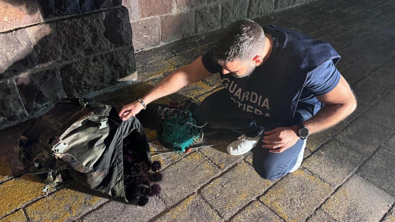 Pesca abusiva di ricci a Bosa, fermato e multato un pescatore non autorizzato