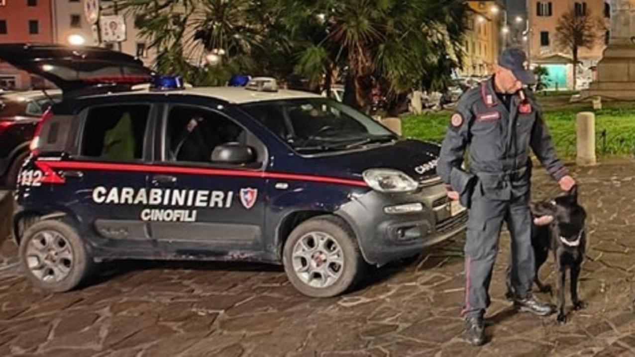 Un carabiniere con un cane antidroga in piazza Garibaldi, a Livorno (foto d'archivio)