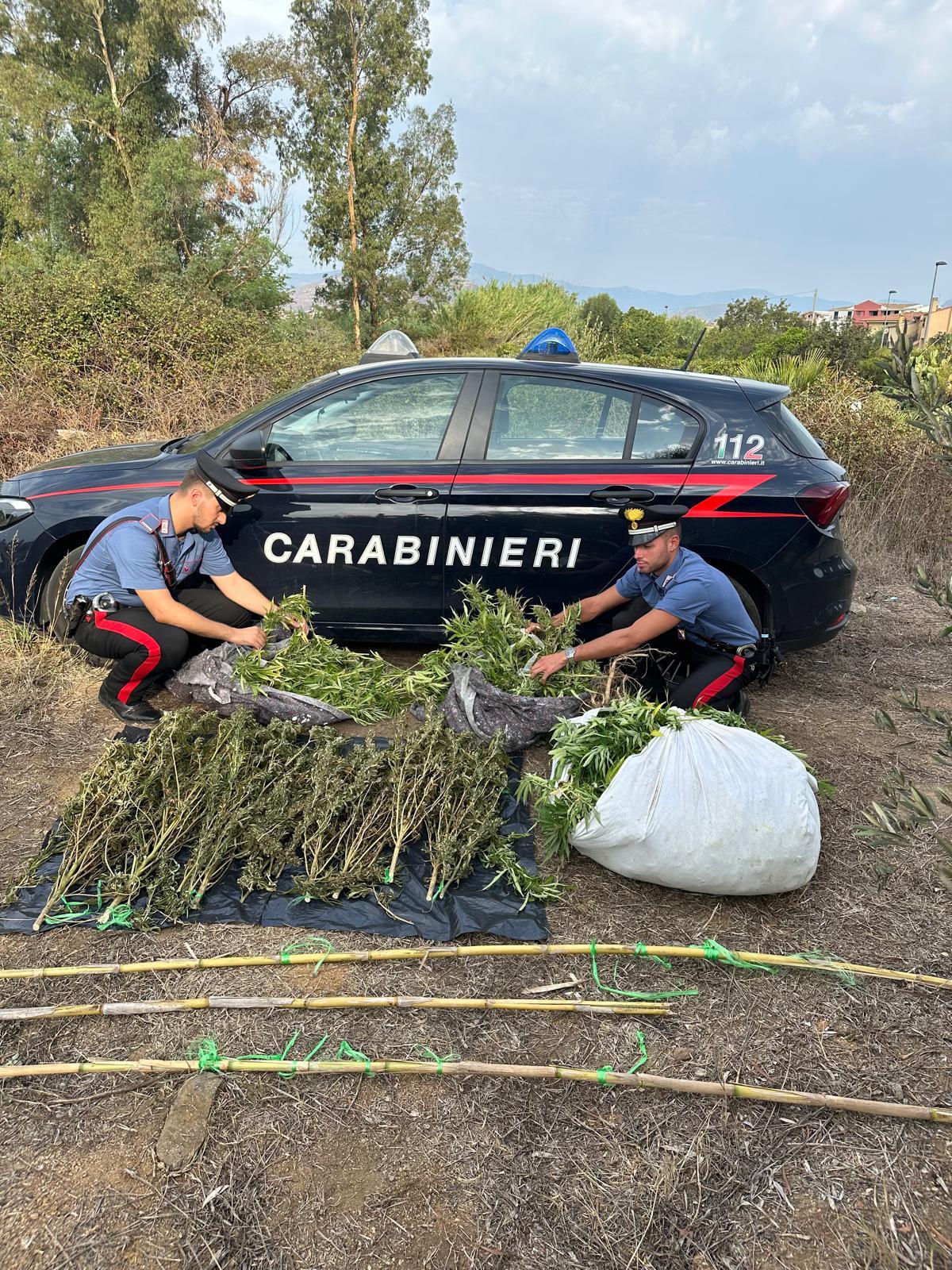 Tortolì, i carabinieri alla ricerca di sostanze stupefacenti: sequestrati 28 chili di marijuana