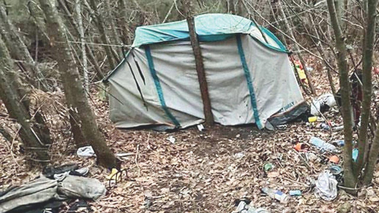 Un accampamento di spacciatori nel bosco delle Cerbaie
