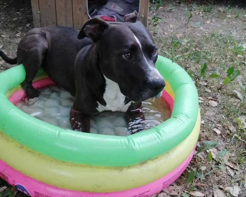 Neyra ha bisogno di trovare una nuova famiglia, la sua non può più tenerla