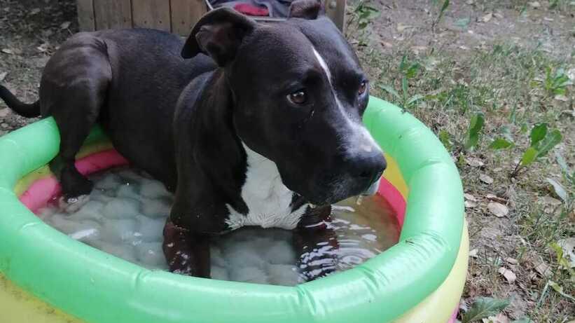 Neyra ha bisogno di trovare una nuova famiglia, la sua non può più tenerla