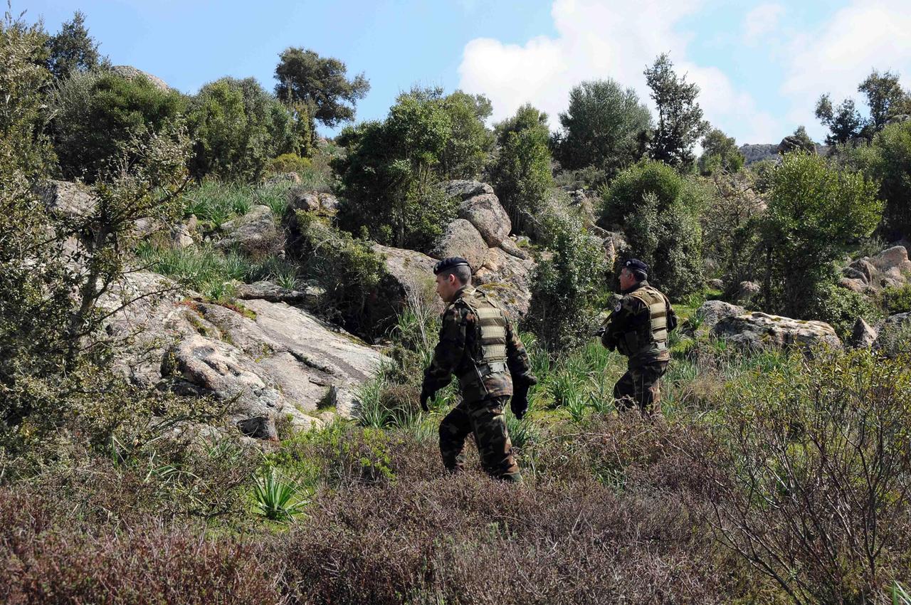 Talana, i carabinieri scoprono una piantagione di marijuana nelle campagne di Mundugia