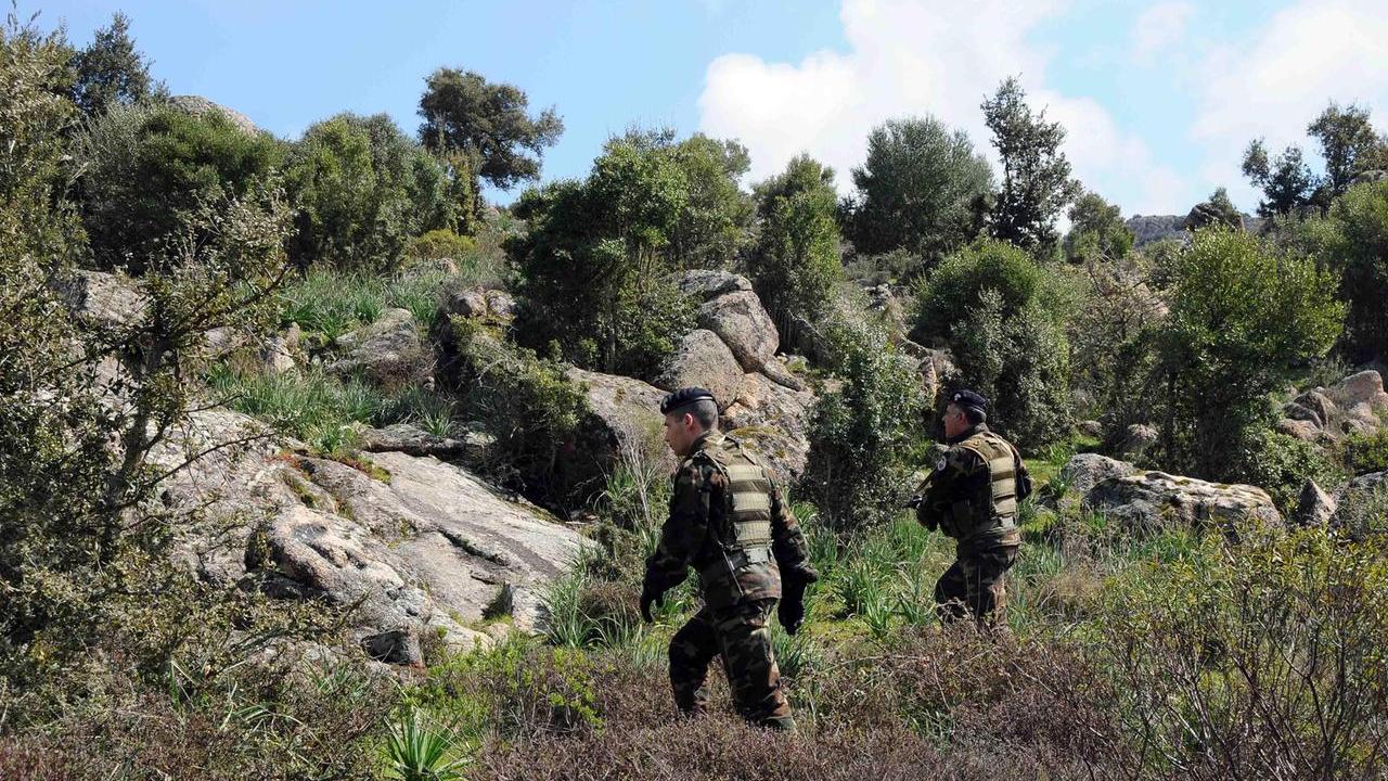 Talana, i carabinieri scoprono una piantagione di marijuana nelle campagne di Mundugia