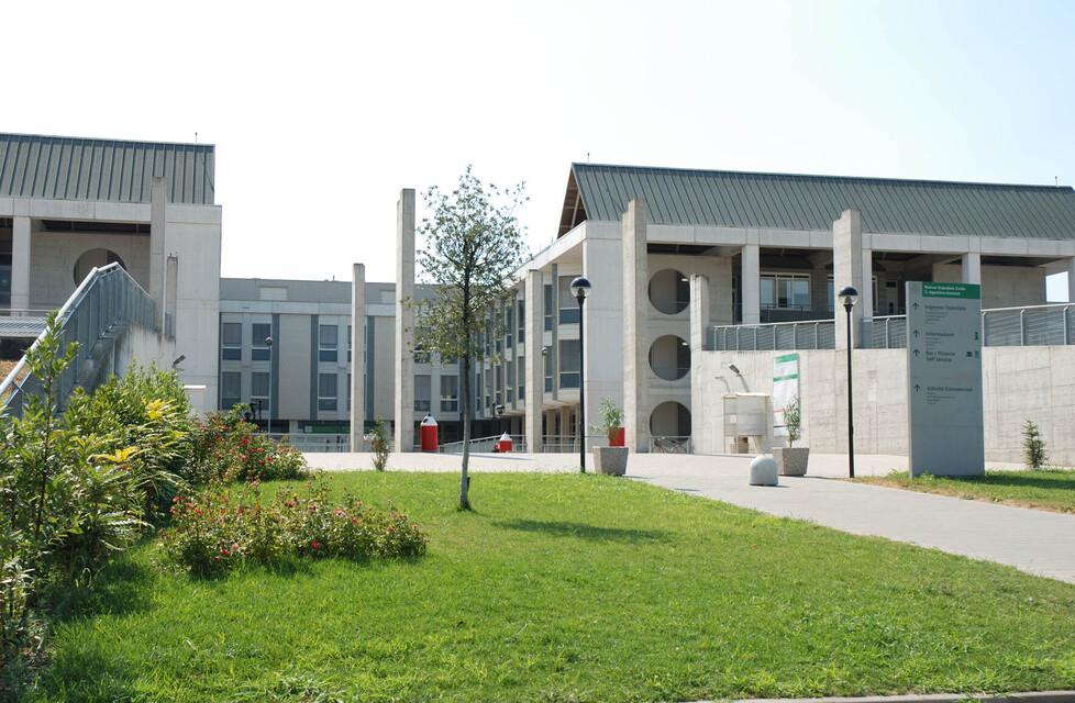 Colpita a 77 anni dal virus West Nile: «Mia madre lotta per la vita»