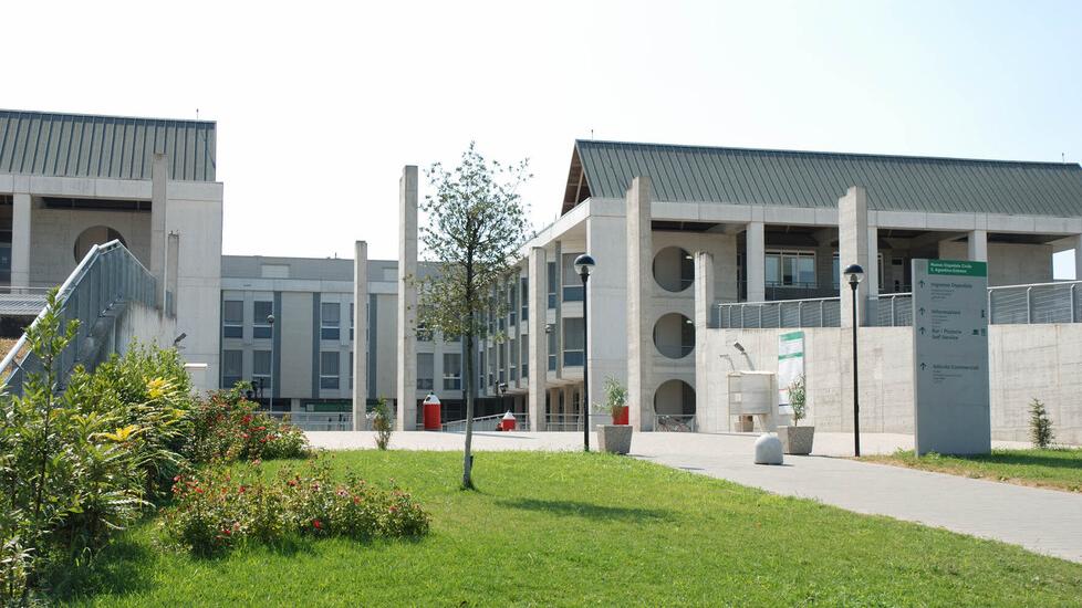 Colpita a 77 anni dal virus West Nile: «Mia madre lotta per la vita»