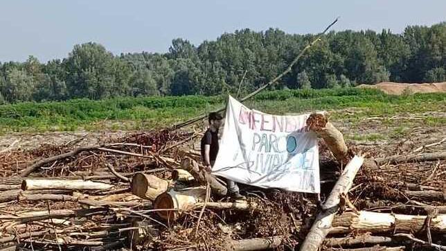Modena, alberi abbattuti accanto al Secchia: «Perché tagliare 50 ettari di bosco?»